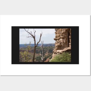 Canyon State Park Posters and Art